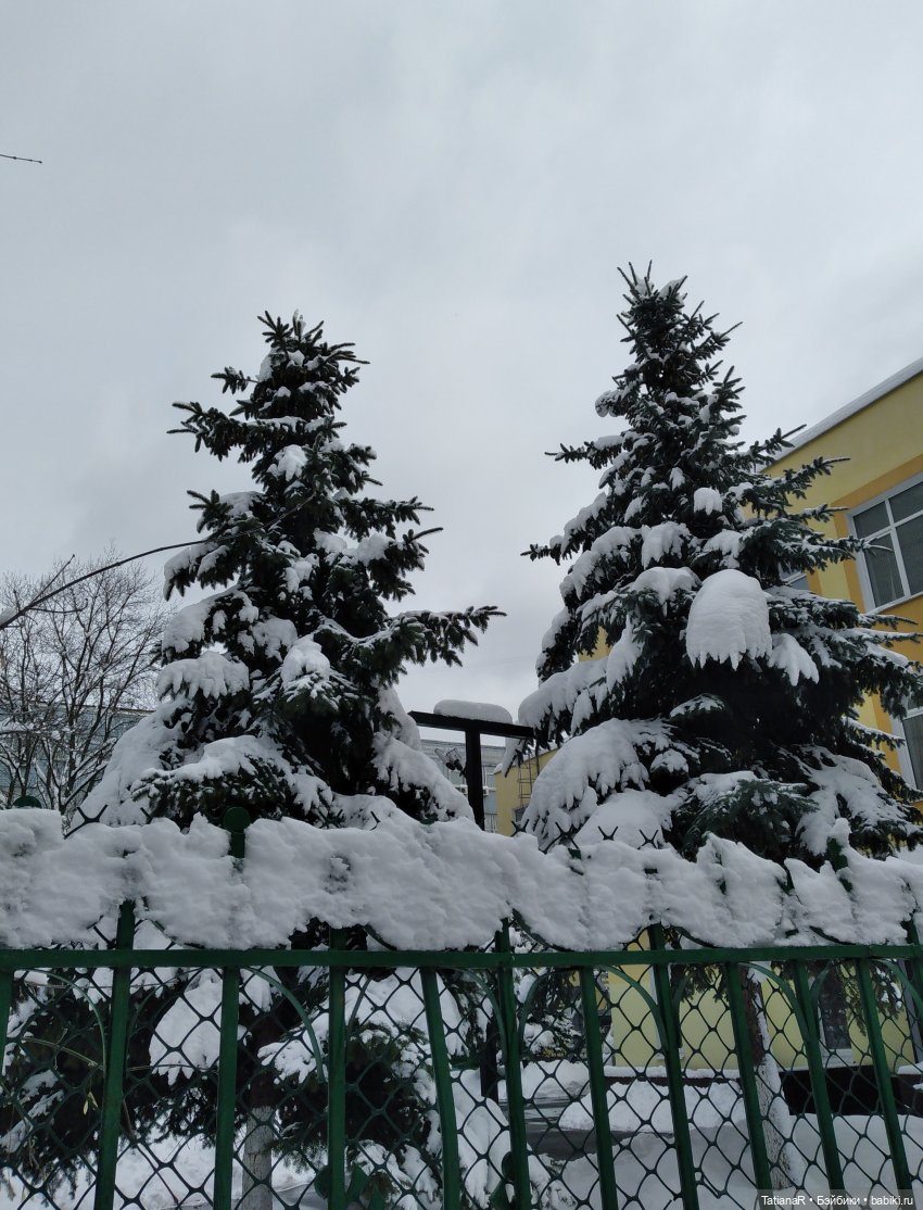 Венечка. Авторская собачка