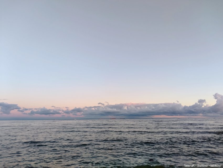 Венечка. Авторская собачка