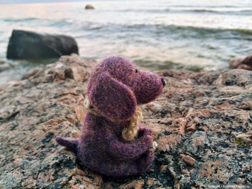 Венечка. Авторская собачка