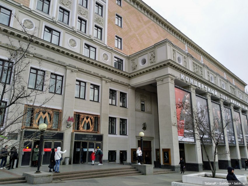 Венечка. Авторская собачка