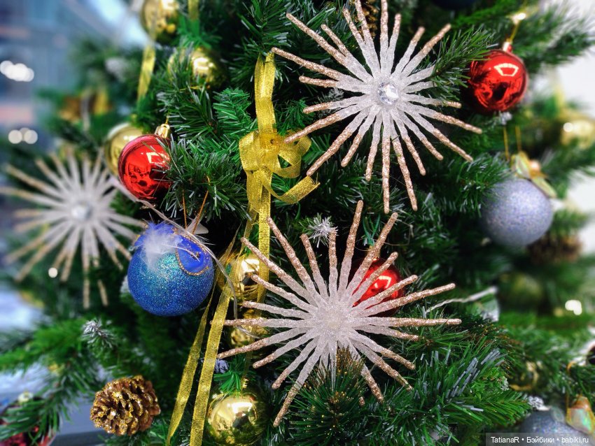 Венечка. Авторская собачка (фото 10)