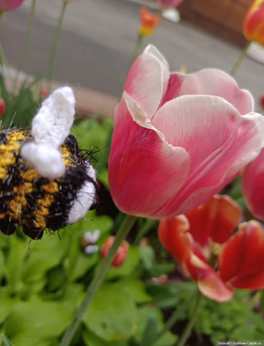 Пчёлы в Москве — Авторские украшения и аксессуары для кукол: фото