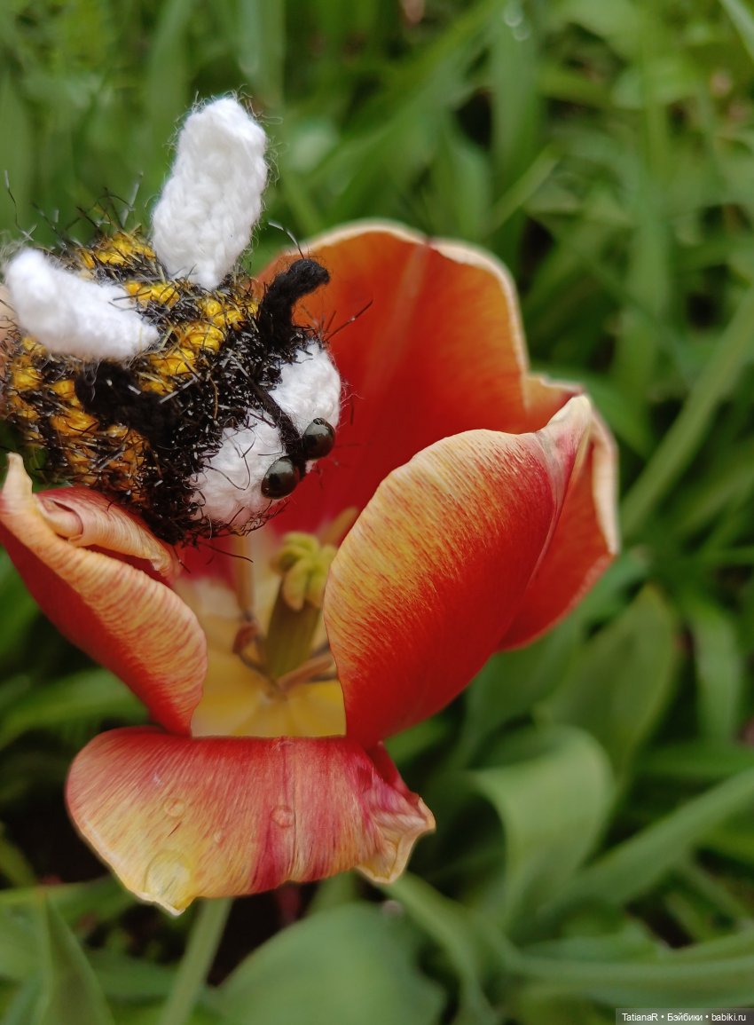 Пчёлы в Москве — Авторские украшения и аксессуары для кукол: фото