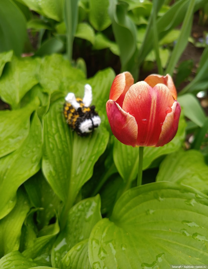 Пчёлы в Москве — Авторские украшения и аксессуары для кукол: фото (фото 8)