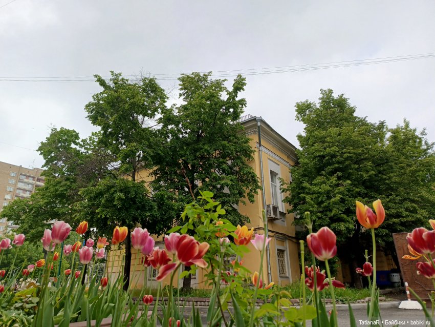 Пчёлы в Москве — Авторские украшения и аксессуары для кукол: фото