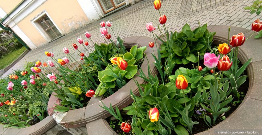 Пчёлы в Москве — Авторские украшения и аксессуары для кукол: фото (фото 3)