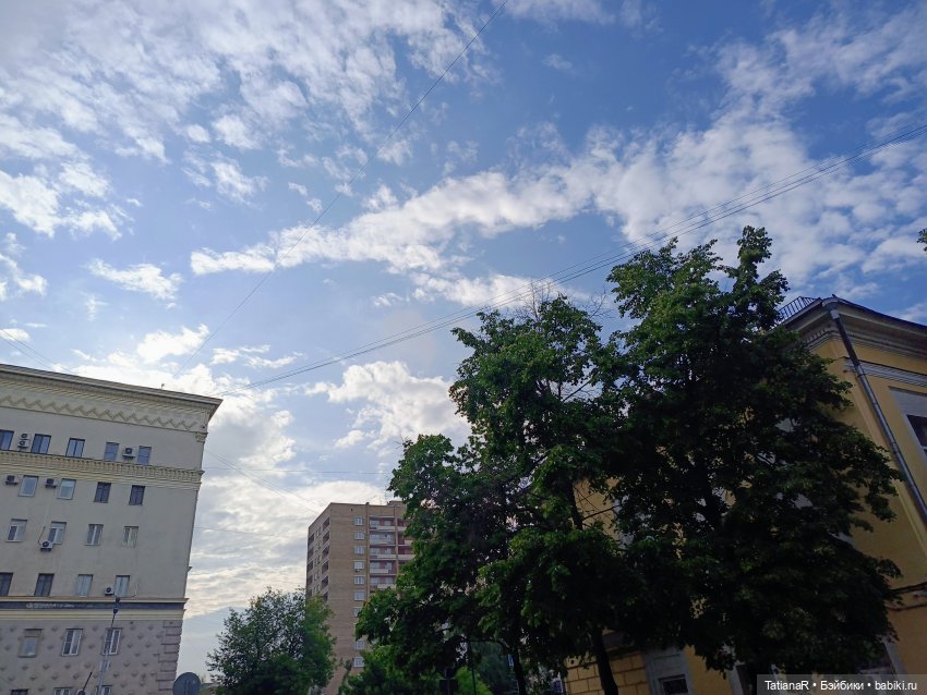 Пчёлы в Москве — Авторские украшения и аксессуары для кукол: фото