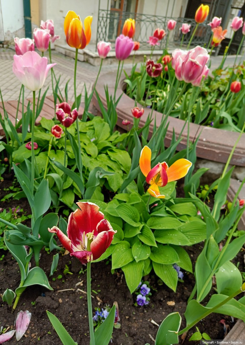 Пчёлы в Москве — Авторские украшения и аксессуары для кукол: фото