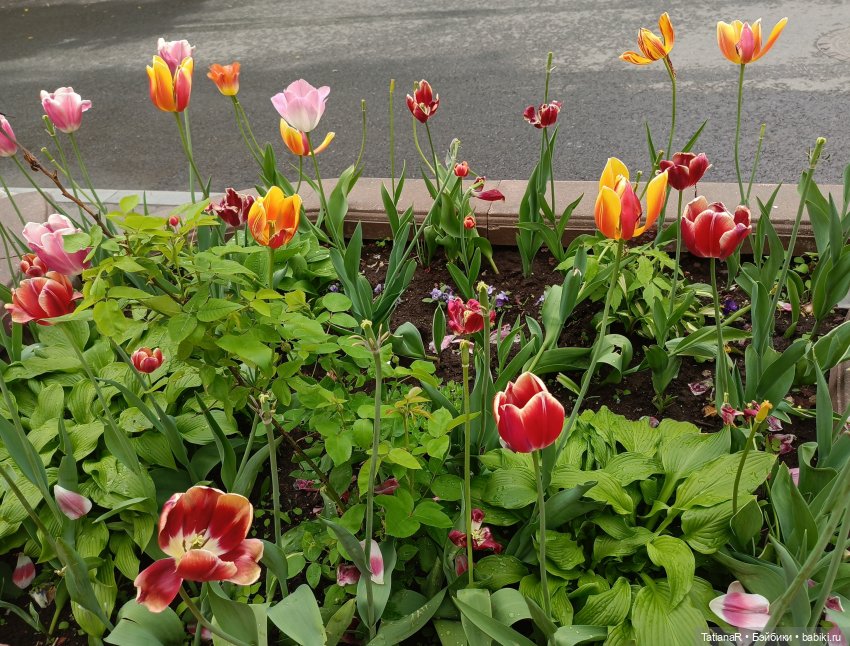 Пчёлы в Москве — Авторские украшения и аксессуары для кукол: фото