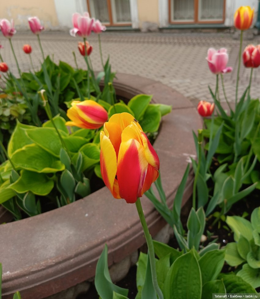 Пчёлы в Москве — Авторские украшения и аксессуары для кукол: фото