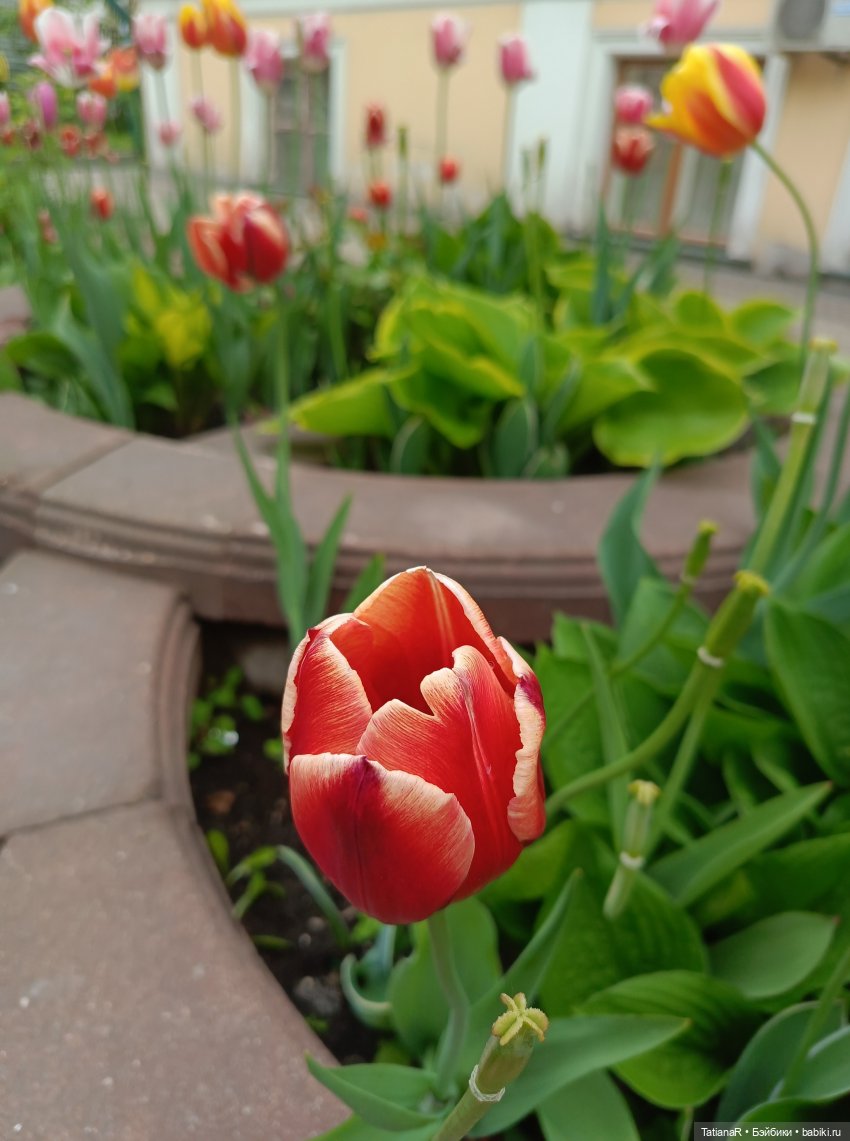 Пчёлы в Москве — Авторские украшения и аксессуары для кукол: фото