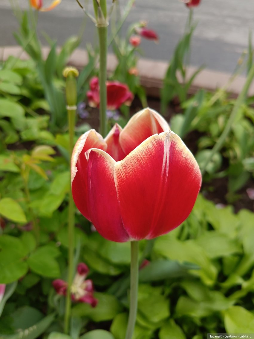 Пчёлы в Москве — Авторские украшения и аксессуары для кукол: фото