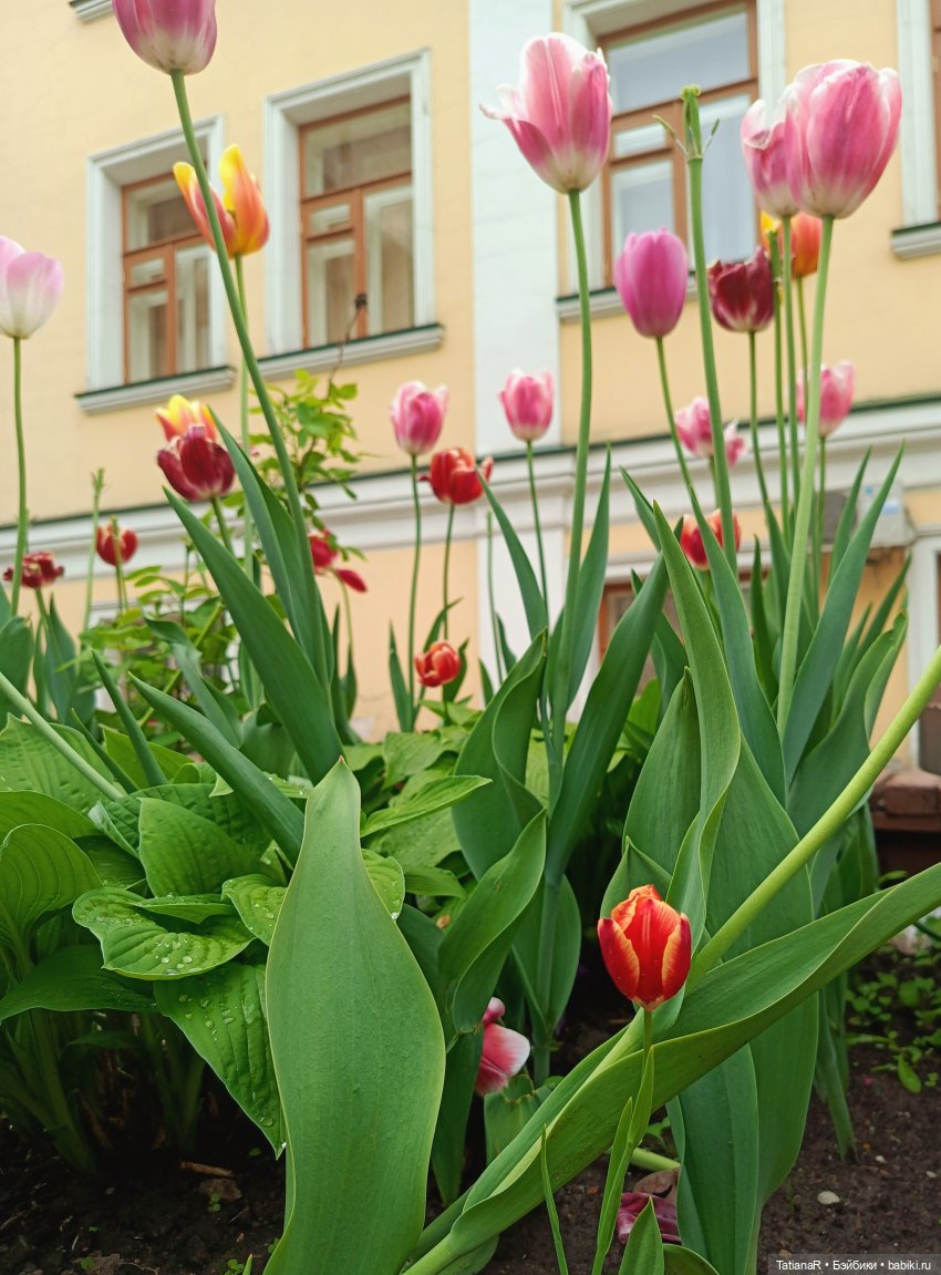 Пчёлы в Москве — Авторские украшения и аксессуары для кукол: фото