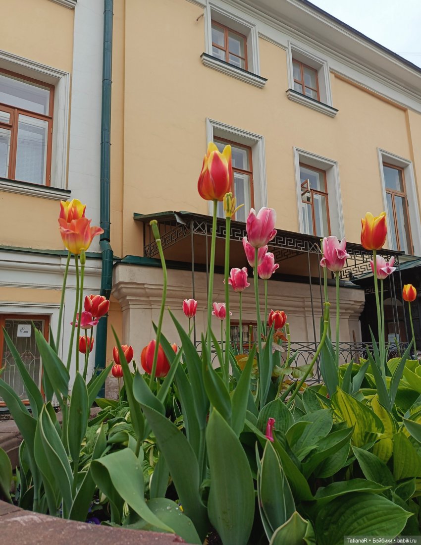 Пчёлы в Москве — Авторские украшения и аксессуары для кукол: фото