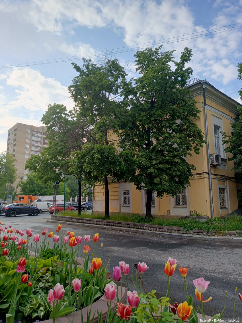 Пчёлы в Москве — Авторские украшения и аксессуары для кукол: фото