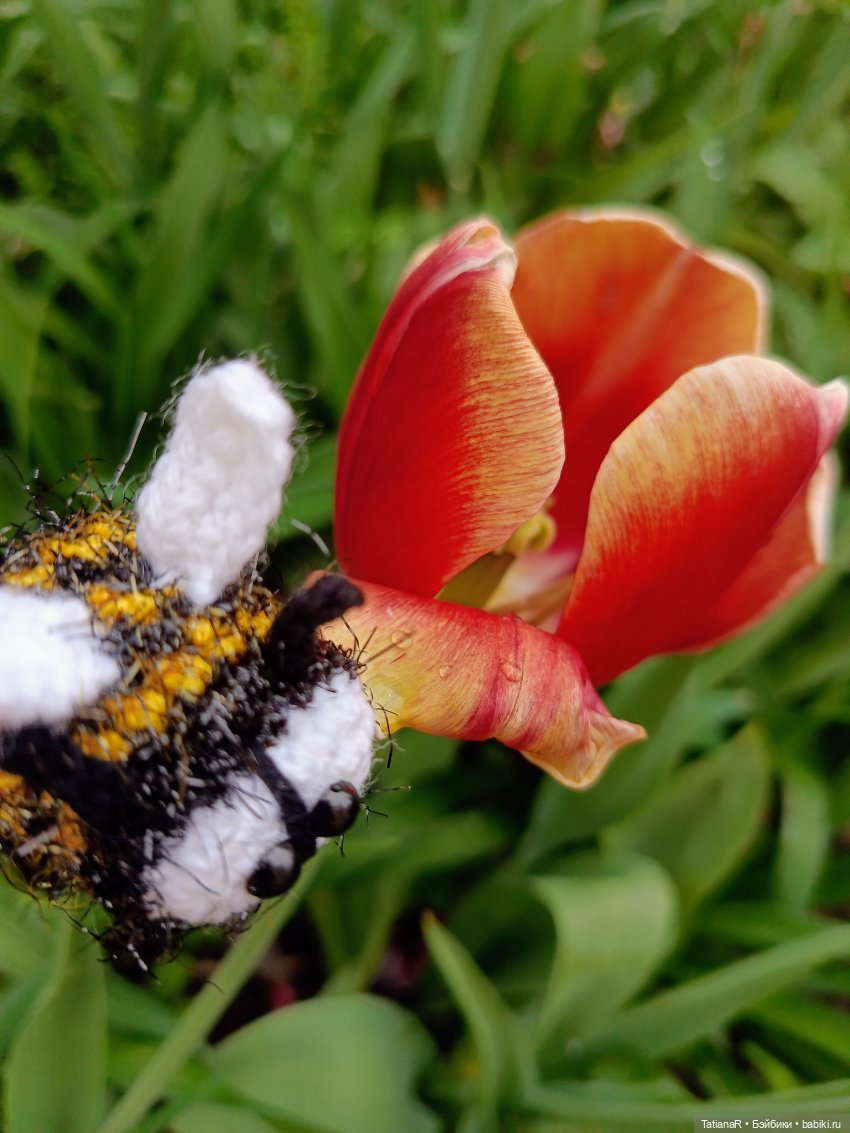 Пчёлы в Москве — Авторские украшения и аксессуары для кукол: фото