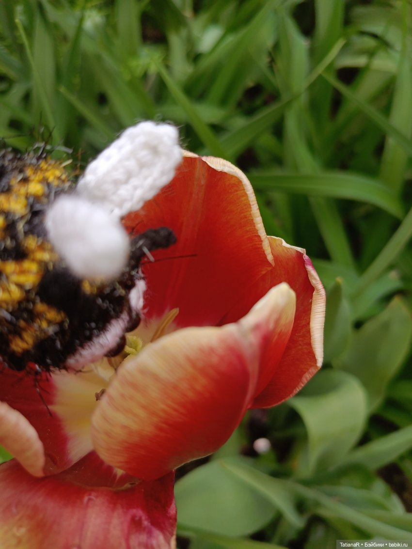 Пчёлы в Москве — Авторские украшения и аксессуары для кукол: фото