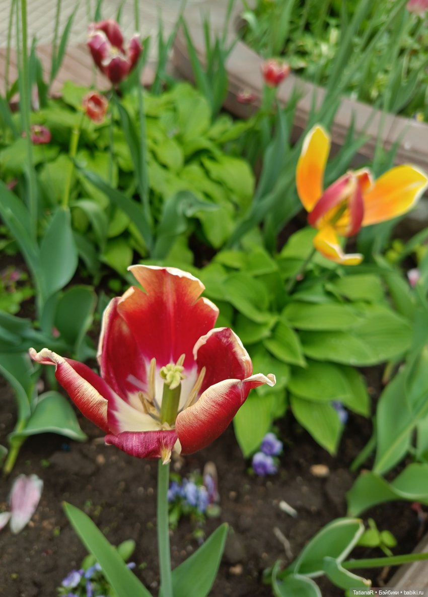 Пчёлы в Москве — Авторские украшения и аксессуары для кукол: фото