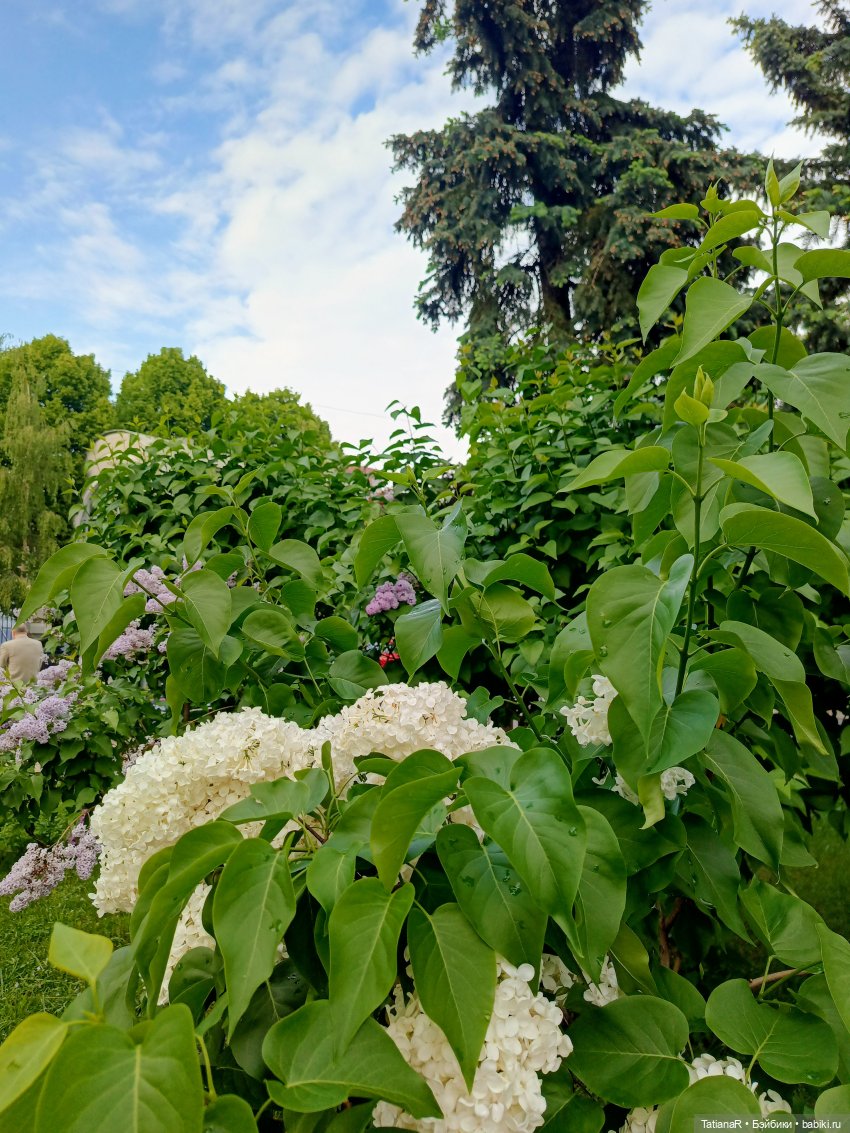 Пчёлы в Москве — Авторские украшения и аксессуары для кукол: фото