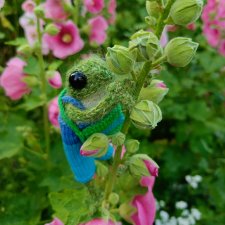 Пётр, и первый его топик