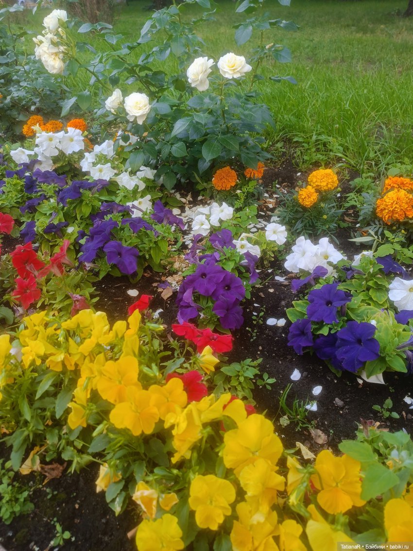 Алёнкины рассказы. Авторские куклы БЖД Оксаны Мироновой