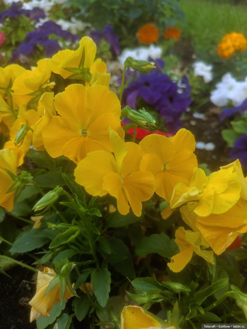 Алёнкины рассказы. Авторские куклы БЖД Оксаны Мироновой (фото 9)