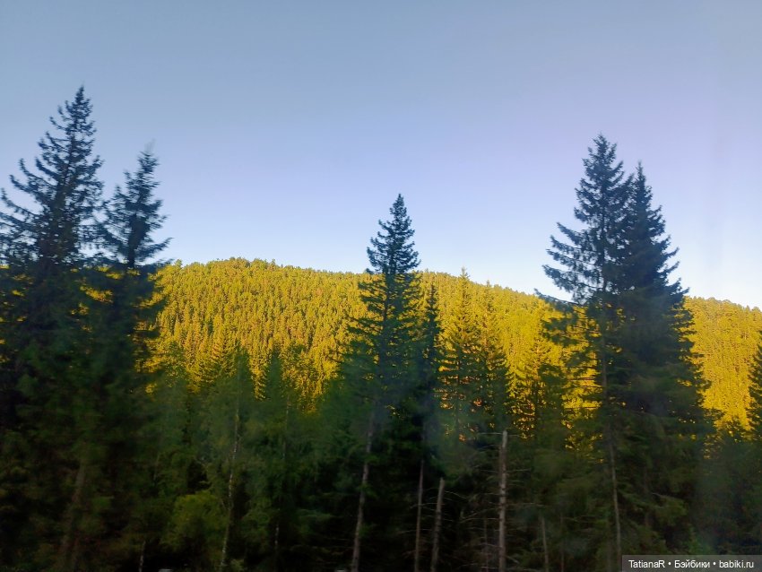 Грустный топик. Очень — Куклы Rosemarie Anna Muller (Мюллер): Вихтели (Wichtel)