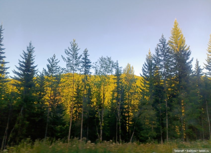 Грустный топик. Очень — Куклы Rosemarie Anna Muller (Мюллер): Вихтели (Wichtel)