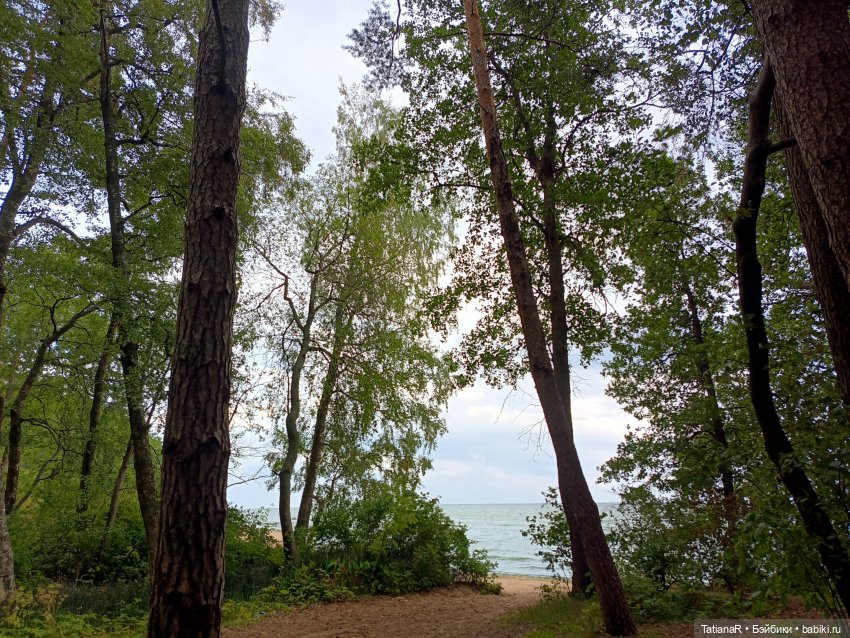 Грустный топик. Очень — Куклы Rosemarie Anna Muller (Мюллер): Вихтели (Wichtel)