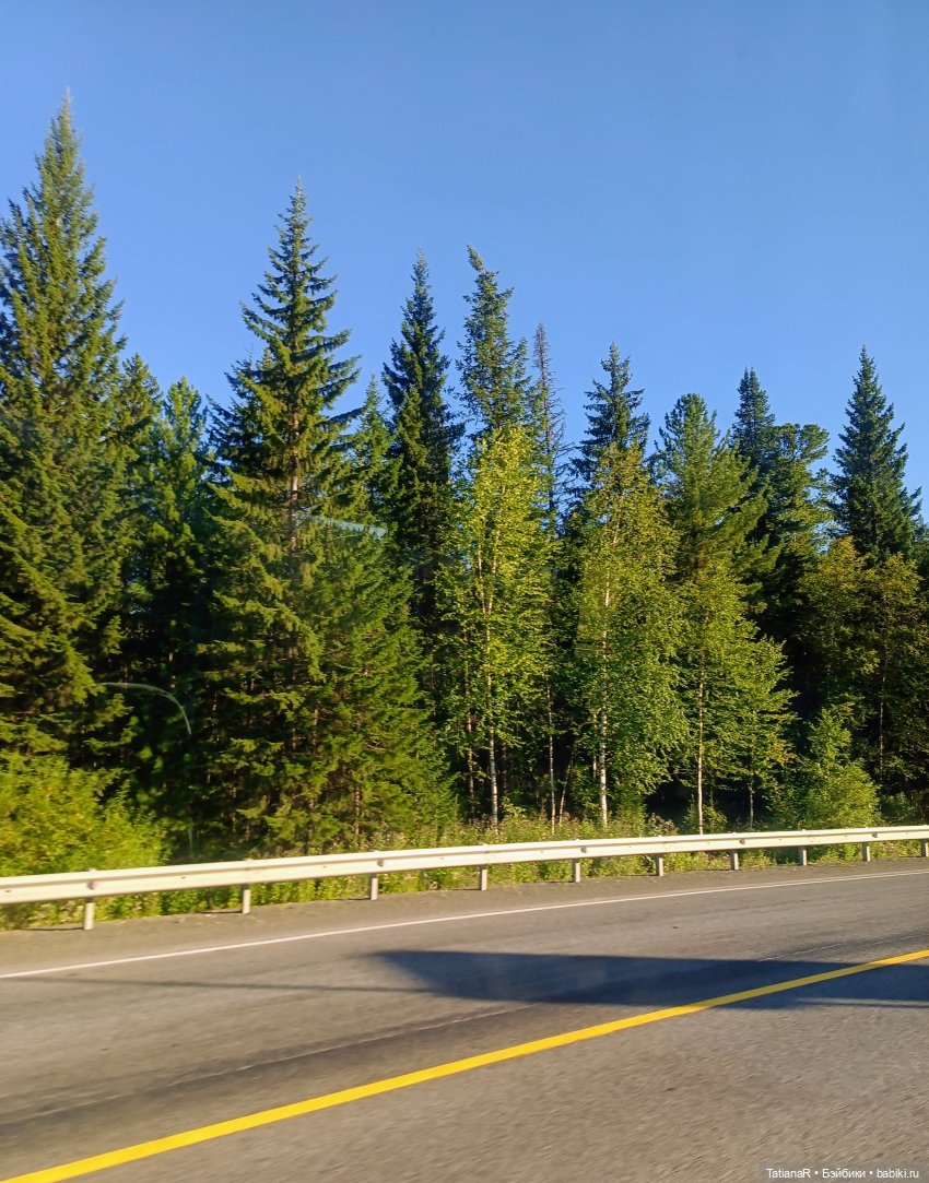 Грустный топик. Очень — Куклы Rosemarie Anna Muller (Мюллер): Вихтели (Wichtel)