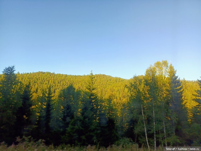 Грустный топик. Очень — Куклы Rosemarie Anna Muller (Мюллер): Вихтели (Wichtel)