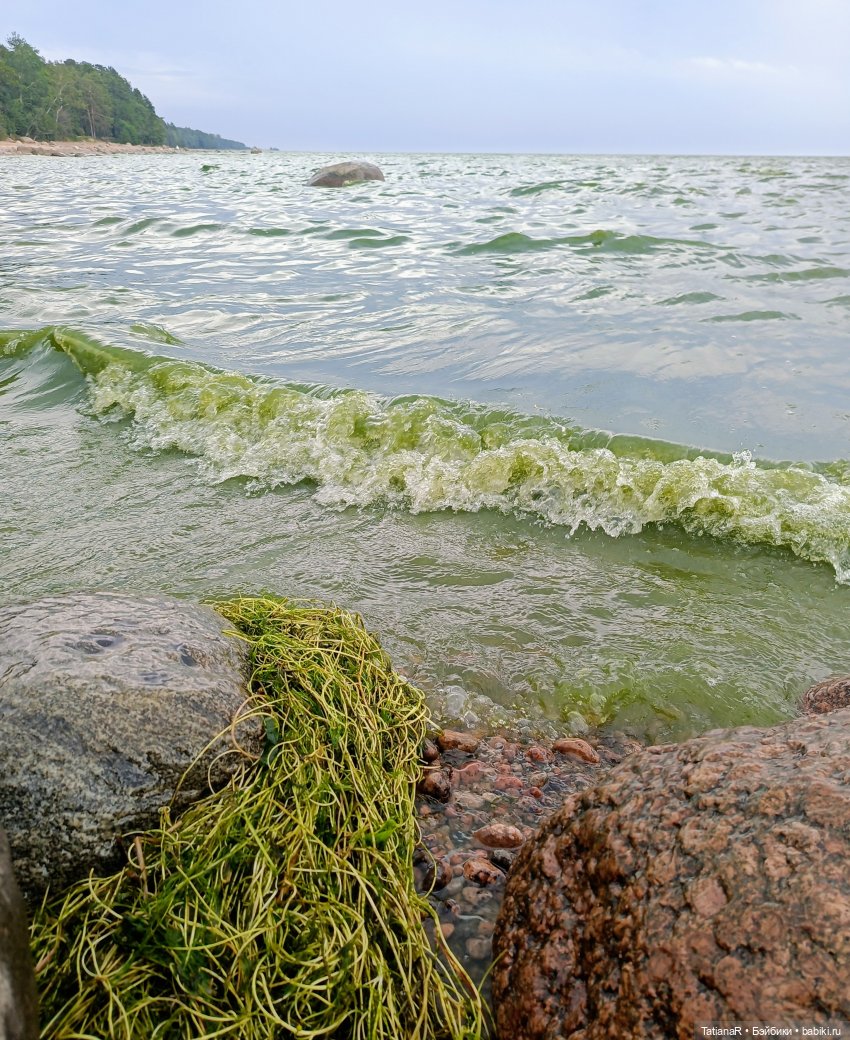 Грустный топик. Очень — Куклы Rosemarie Anna Muller (Мюллер): Вихтели (Wichtel) (фото 10)