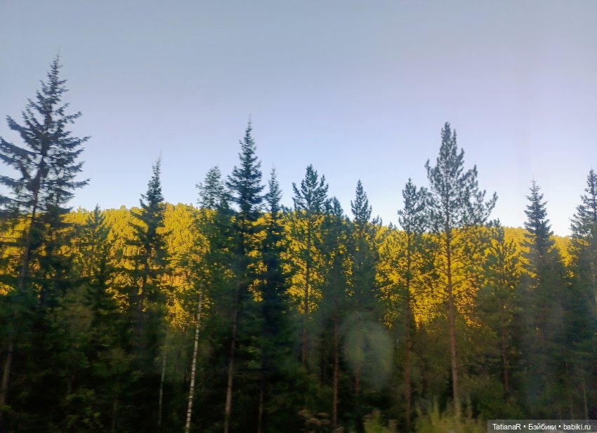 Грустный топик. Очень — Куклы Rosemarie Anna Muller (Мюллер): Вихтели (Wichtel)