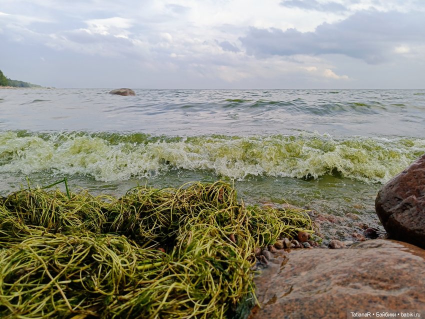 Грустный топик. Очень — Куклы Rosemarie Anna Muller (Мюллер): Вихтели (Wichtel)