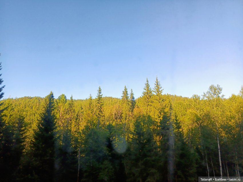 Грустный топик. Очень — Куклы Rosemarie Anna Muller (Мюллер): Вихтели (Wichtel)