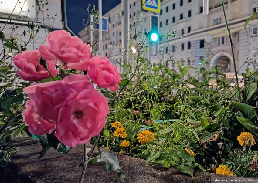 Домик для Жирафа — Куклы Miroxdolls (Оксана Миронова): российские БЖД