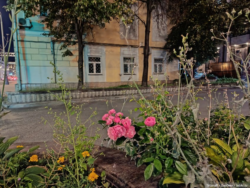 Домик для Жирафа — Куклы Miroxdolls (Оксана Миронова): российские БЖД