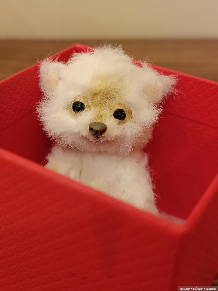 Чебурашка, ХлОпушка, королева Регина, и все-все-все (фото 5)