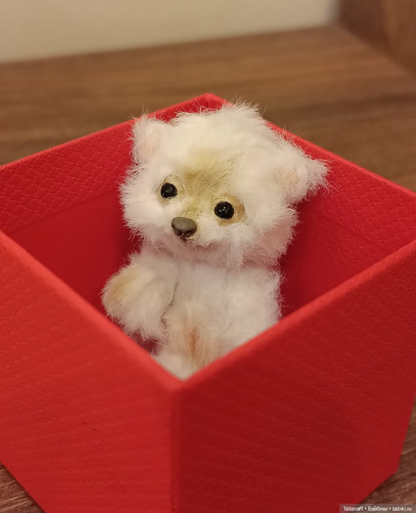 Чебурашка, ХлОпушка, королева Регина, и все-все-все