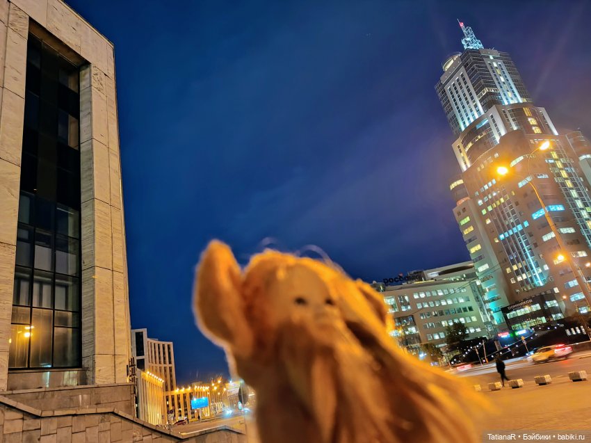 Регинин топик или "Прелюдия к прогулке" (фото 5)