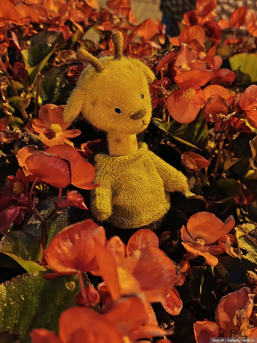 Прогулка Регины и Лютика, на которую мы, наконец, попали (фото 6)