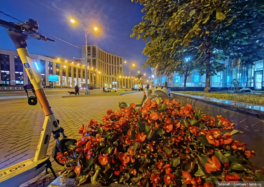 Прогулка Регины и Лютика, на которую мы, наконец, попали