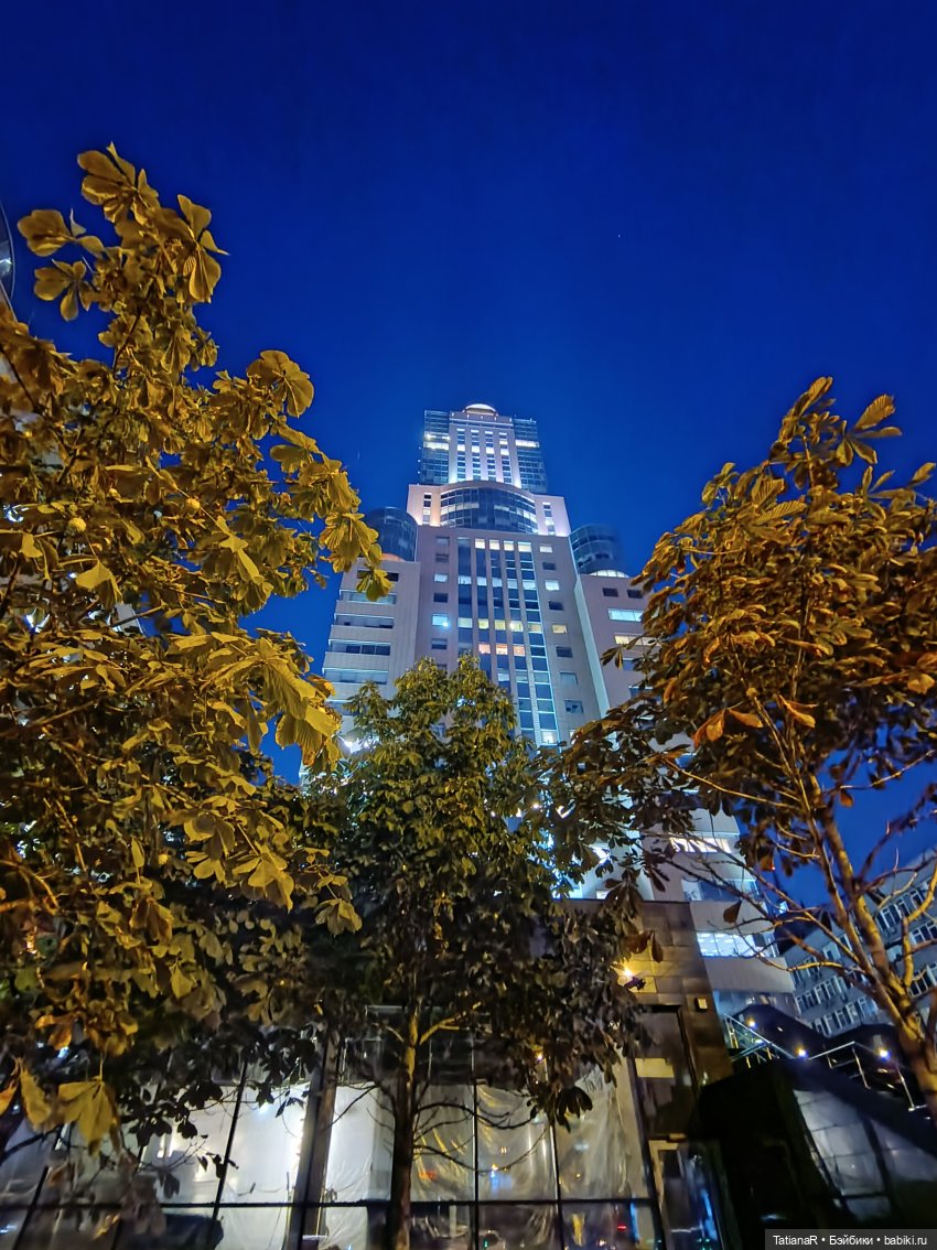 Прогулка Регины и Лютика, на которую мы, наконец, попали (фото 2)