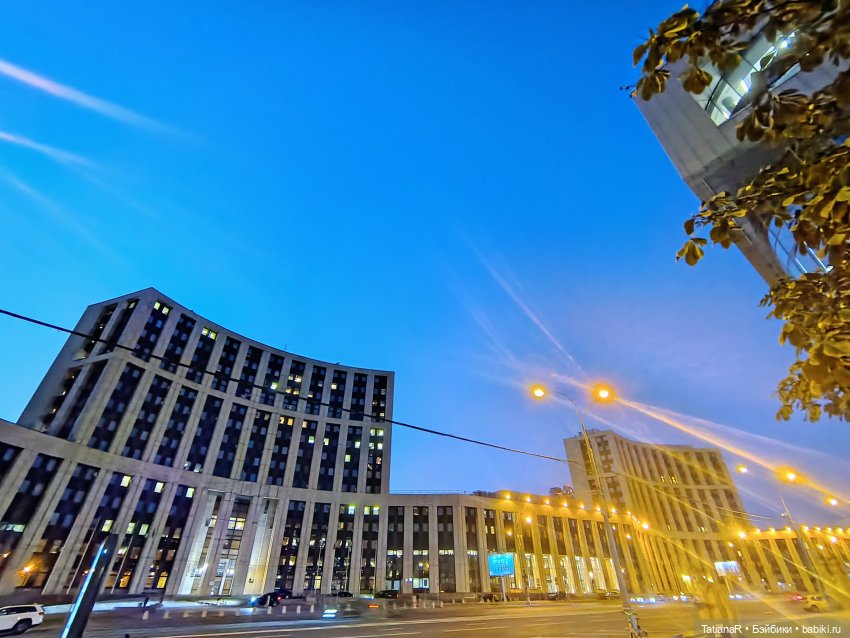 Прогулка Регины и Лютика, на которую мы, наконец, попали (фото 3)