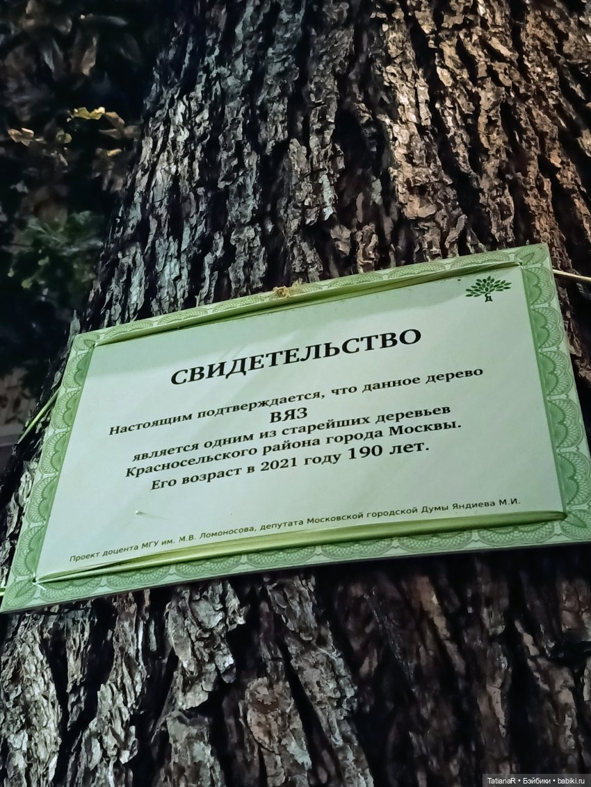 Прогулка Регины и Лютика, на которую мы, наконец, попали