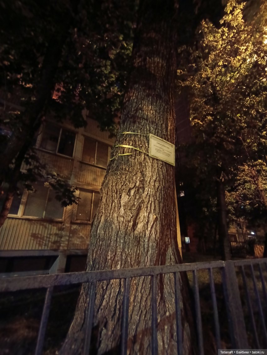 Прогулка Регины и Лютика, на которую мы, наконец, попали