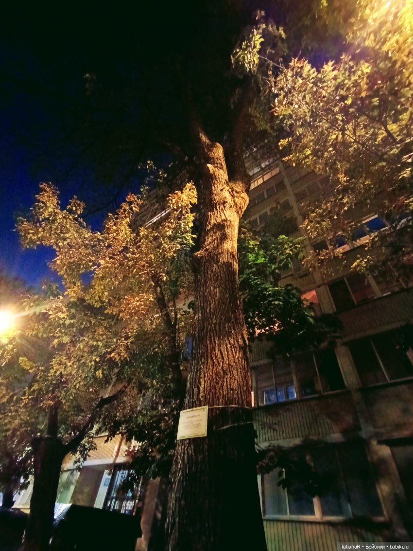 Прогулка Регины и Лютика, на которую мы, наконец, попали