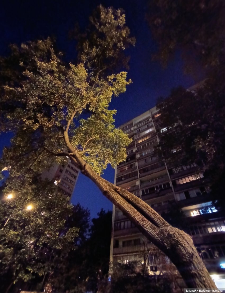 Прогулка Регины и Лютика, на которую мы, наконец, попали