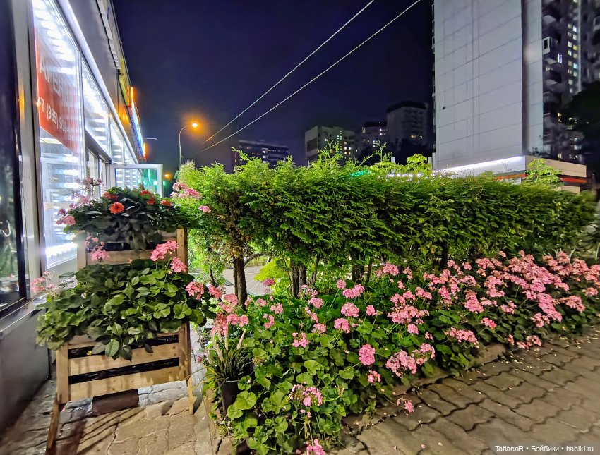 Прогулка Регины и Лютика, на которую мы, наконец, попали