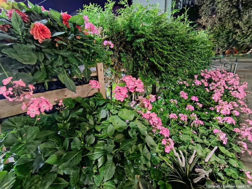 Прогулка Регины и Лютика, на которую мы, наконец, попали